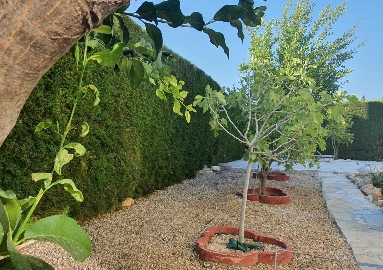 Villa Victoria 400 Meters To The Beach Peyia Exterior photo